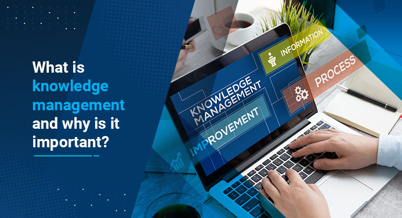 knowledge management