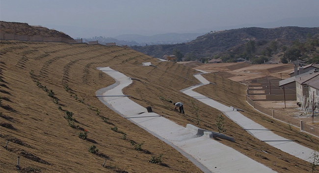 Landscape Development